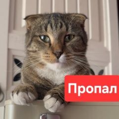 ����: ������� �����  ������� ��� ������� � �. �������