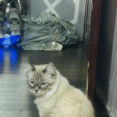 ����: ������� ����� ������� ����������� ������� ��� � ���� ������ ����� �� �� ����...� � �. ������� (�������)