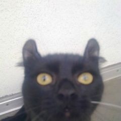 ����: ������� ����� ������������ ���� �������� ����� ����� 20������� 2021����...� � �. ������������