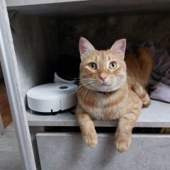 ����: ������� �����  ������� ��� ��������� � �. ���������