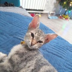 ����: ������� �����  �������� ����� ������� ����� ���� � ��� ������...� � �. ���������� �������