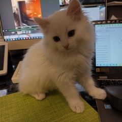 ����: ������� �����  �������� ������ ��� ����� ����� 3 ������ ������ � �. �������