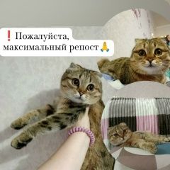 ����: ������� �����  �������� ����� ���� � �. ����