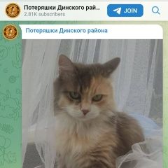 ����: ������� �����  �������� ������� ����� ������ � �. �������