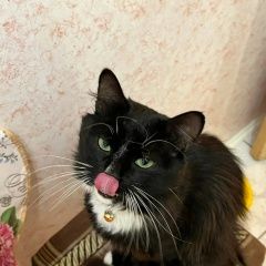 ����: ������� ����� ��������� ����� ��������� ������ ��� � �. ��������