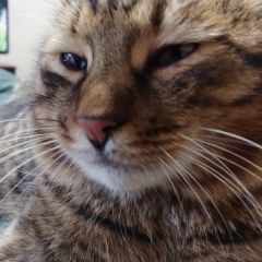 ����: ������� �����  ������� ��� � ������ � �. ������