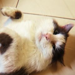 ����: ������� �����  ������� ��� ������� � �. ������