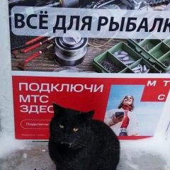 ����: ������� �����  ������� ��� �������� � �. ��������