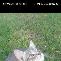 ����: ������� �����  ������� ����� 10 ������� ������ � �. ������