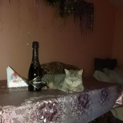 ����: ������� �����  ������� ������ ��� �� � �. ������