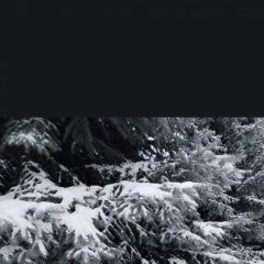 ����: ������� �����  ������� ����� �������� � �. �������