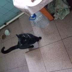 ����: ������� �����  ������� ���, ����� ������, ��� 2 ���� ������� � �. �������