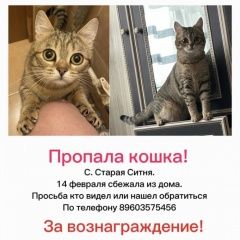 ����: ������� ����� ���������� ��������������� ����� �������� ������� ����� �����, ������������ � �. �������