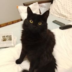 ����: ������� �����  �������� ����� � ���� �� 15 ������� ����� � �. �����