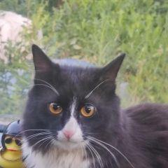 ����: ������� �����  ������� ��� ���������� �� ������ ������ � �. ������