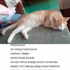 ����: ������� �����  ������� ��� �������� ����� ������ ����� � �. ������ �����