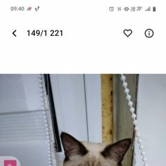 ����: ������� �����  ������� ��� ������ � �. �����