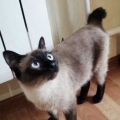 ����: ������� ����� ���������� ������� �������� ����� ���������� � �. ���������