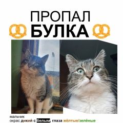 ����: ������� �����  ���������� ������ ��� ����� � �. ���������