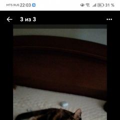 ����: ������� �����  �������� ����� ���� ��������� � �. ���������