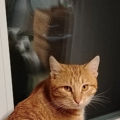 ����: ������� �����  ������� ����� ������������� � �. �������������