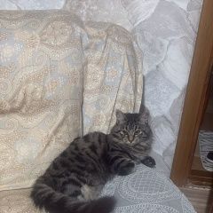 ����: ������� �����  �������� ����� 22 ������� 2025 ���� ��������� � �. ���������