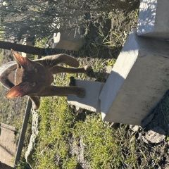 ����: ������� ����� ������������ (��������� ���������������) ������� ��� �������� ����������� ������ ���������� � �. ���������