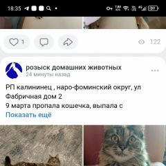 ����: ������� �����  �������� ����� ���������� � �. ���������