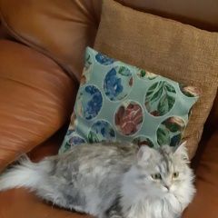 ����: ������� ����� ���������� �������������� ����� ������� ��� ����� ������� � �. ������