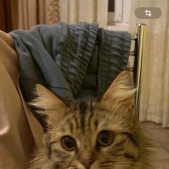 ����: ������� �����  ������ ������ ��� � �. �����