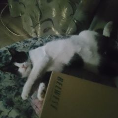 ����: ������� �����  ������� ��� ������� � �. ������