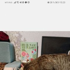 ����: ������� �����  ������� ��� �����. �, ������ ����������� � �. �����������