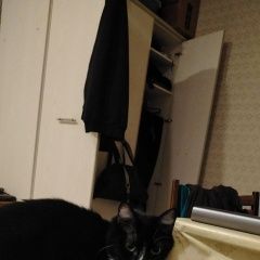 ����: ������� �����  �������� ����� �� ������ 50 ��� ����� 4 ������ � �. ������