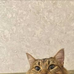 ����: ������� �����  ����� ������� ����� � �. ����