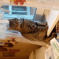 ����: ������� �����  ������� ��� �������� � �. ��������