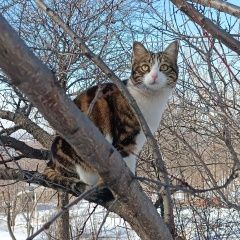 ����: ������� �����  ���������� ������� ����� � ������ 18 �� ����. ����� � �. ���������