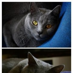 ����: ������� �����  �������� ����� ���������� � �. ���������