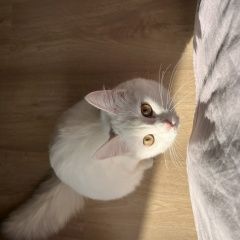 ����: None  ��������� ����� ������ � �. ������