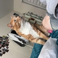 ����: ������� �����  ������� ��� �������� � �. ��������