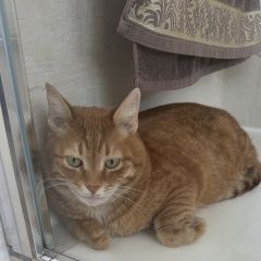 ����: None  ��������� ����� ��� � �. ���