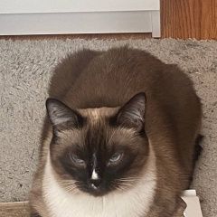 ����: ������� ����� �������� ����� ��������� ������ ��� �� � �. ��������