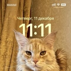 ����: ������� ����� ����-��� ������� ��� ������ ������ � �. ������