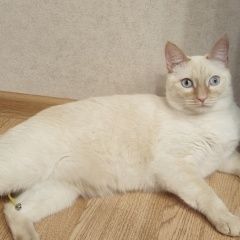 ����: None  ��������� ����� ������ ��� ������ ������...� � �. ������������