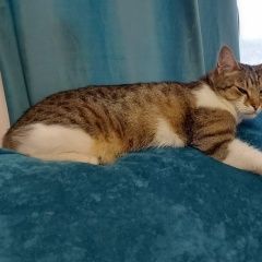 ����: ������� �����  ��������� ������ ��� ������ � �. ��������