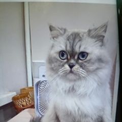 ����: ������� ����� ���������� �������������� ����� �������� �����. ���������� ������ � �. ���������� �����