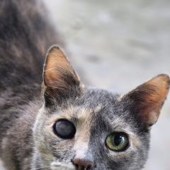 ����: None  ��������� ����� ������� � �. ������