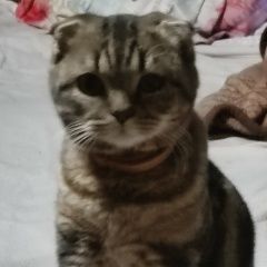 ����: None ����������� ������ ��������� ����� ��������� ����� ��� ������� � �. �������