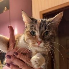 ����: ������� �����  �������� ����� ������ � �. ������