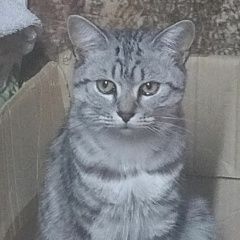 ����: ������� ����� ���������� ��������������� ����� ������� ��� 1 ��� ��� � �. ���