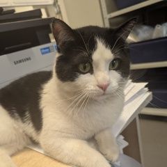 ����: ������� �����  ������� ��� ������� ������� ����� ������ � �. ������